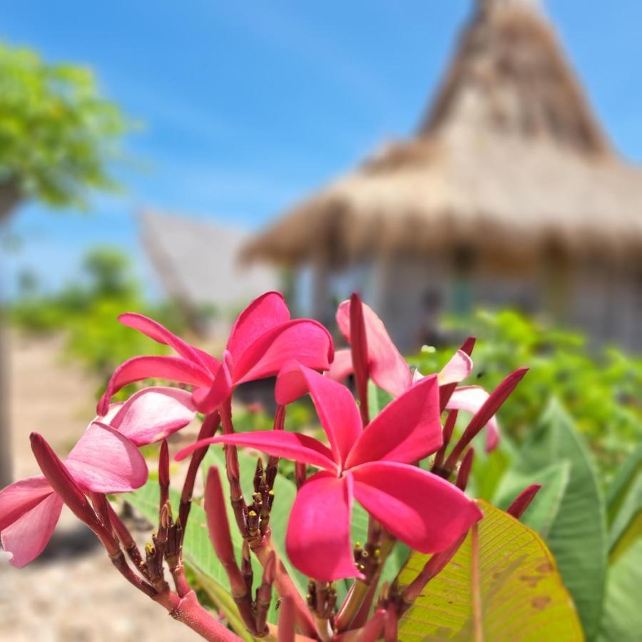 Hotel Hars Garden Sumba à Waingapu Extérieur photo