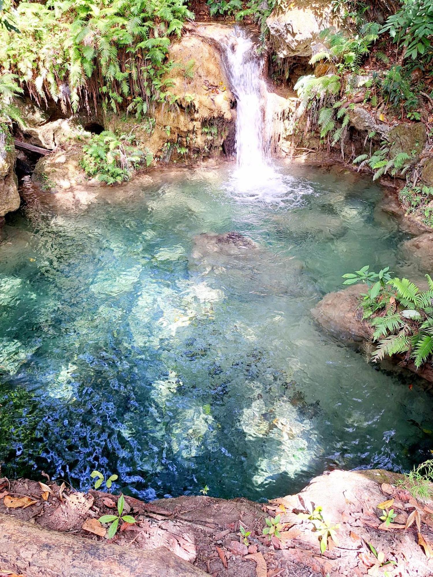 Hotel Hars Garden Sumba à Waingapu Extérieur photo